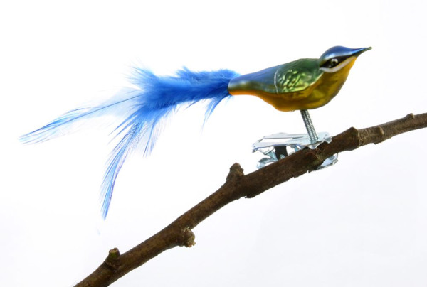 Mini-Blaumeise, Naturfeder Nr. 609