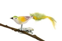 Mini-Vogel, gespritzt, Federn Nr. 581, samt weiß, gold, grün, orchidee Mini-Vogel, gespritzt, Federn Nr. 581, samt weiß, gold, grün, orchidee