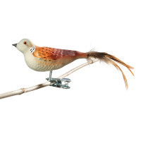 Turteltaube, Naturfeder Nr. 779 Turteltaube, Naturfeder Nr. 779