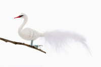 kleiner Schwan, weiße Feder Nr. 511 kleiner Schwan, weiße Feder Nr. 511