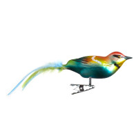 Bienenfresser, Naturfedern Bienenfresser, Naturfedern