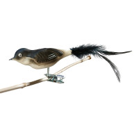 Mehlschwalbe, Naturfeder Nr. 780 Mehlschwalbe, Naturfeder Nr. 780